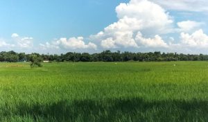 ঢাকার গাবতলী এলাকায় বাংলাদেশ কৃষি উন্নয়ন কর্পোরেশন (BADC)-এর জমি দখল নিয়ে নতুন অভিযোগ উঠেছে, যেখানে আন্তঃজেলা ট্রাক শ্রমিক ইউনিয়ন অবৈধভাবে জমি দখল করেছে, স্থানীয় প্রশাসন জমি দখলের বিরুদ্ধে ব্যবস্থা নেওয়ার আশ্বাস দিয়েছে, দখলকৃত জমির আইনি অধিকার ফেরত পাওয়ার জন্য সরকারের ভূমিকা গুরুত্বপূর্ণ হতে পারে, গাবতলীর পরিস্থিতি আইন অনুযায়ী দ্রুত সমাধান আশা করা হচ্ছে।